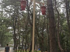 -林海公园
