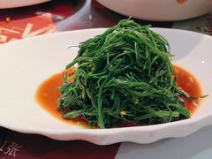 -新疆兵团食府清真(马连道店)