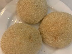 -九花山烤鸭店