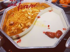 -新草堂锅物料理(泉城路店)