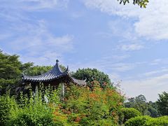 -海珠湖公园
