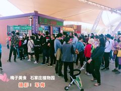 -石家庄市植物园