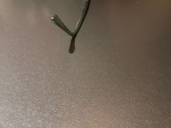 -奇芳阁·百年清真南京菜(夫子庙店)