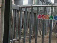 -无锡动物园·太湖欢乐园