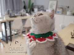 -Oasis绿洲银饰珍珠手作diy(壹方城店)
