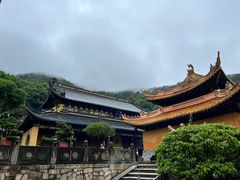 -普陀山风景名胜区-法雨禅寺