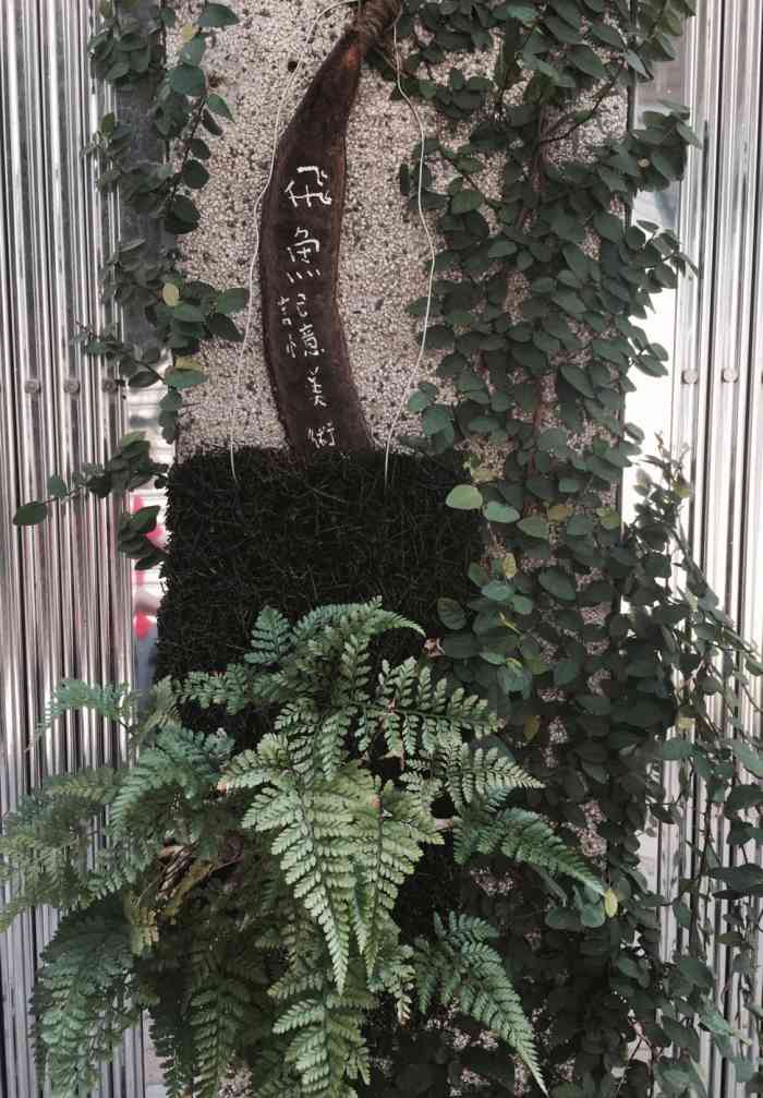 飞鱼.记忆美术馆.婚纱-"非常棒的一家民宿,整个设计非常接地气,古.