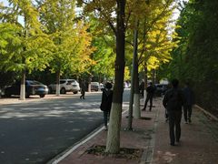 -北京市师达中学