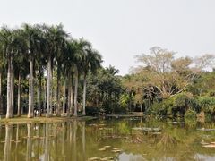 -中国科学院西双版纳热带植物园