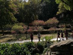 -桃花涧