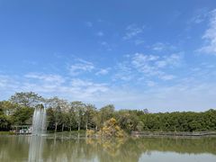 -大湾区中央湿地公园