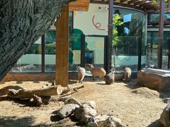 -大连森林动物园