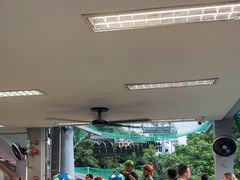 -圣淘沙天际线斜坡滑车