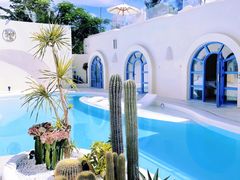 -广州市流溪河国家森林公园