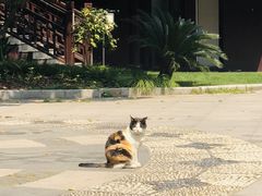-复旦大学附属华山医院(总院)