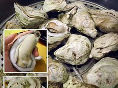 -蚝专家(北滘店)