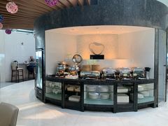 -虹桥机场国航贵宾室v8