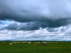 -塞罕坝国家级自然保护区