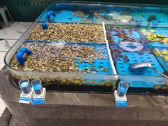 -双合园·海鲜水饺青岛菜(九水东路店)