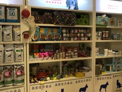 -创凡宠物医院·骨专科  猫科中心(西乡分院)