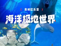 -泉城欧乐堡海洋极地世界