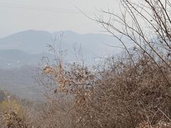 -北京鹫峰国家森林公园