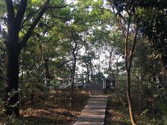-云溪植物园