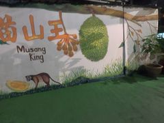 -都念榴莲·城市榴莲