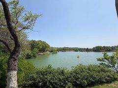 -宜兴龙背山森林公园