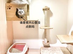 -Double Rui宠物酒店