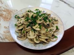 -天鹅到家·保姆月嫂育儿嫂(总店)