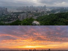 -南山植物园