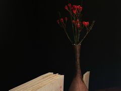 -觀芷隐轩
