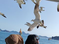-海驴岛(荣成市)