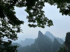 -张家界天门山国家森林公园