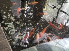 -如家酒店(上海陆家嘴东方明珠浦东大道地铁站店)