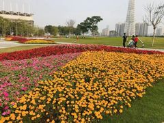 -二沙岛艺术公园