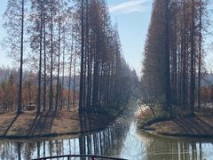 -黄海国家森林公园