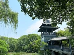 -金鸡湖桃花岛