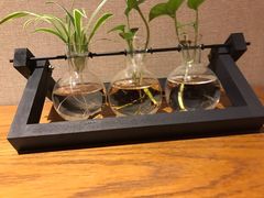 -丽江金茂隐逸酒店-凯悦臻选SPA