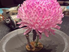 -大拙里·精致融合菜(沙湖桃源国际店)