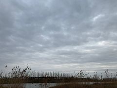 -春花秋色城市公园