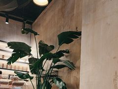 -熙阁咖啡Segnal(时代中心店)