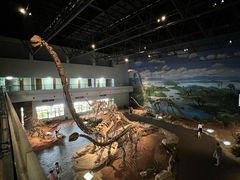 -自贡恐龙博物馆