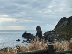 -涉地可支