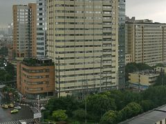 -东方名猫馆·英短金渐层布偶猫舍(环线广场1号楼店)