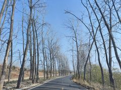 -合肥三国新城遗址公园