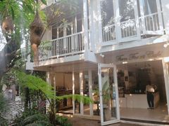 -Fern Forest Cafe