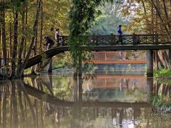 -桤木河湿地公园