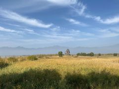 -野鸭湖国家湿地公园